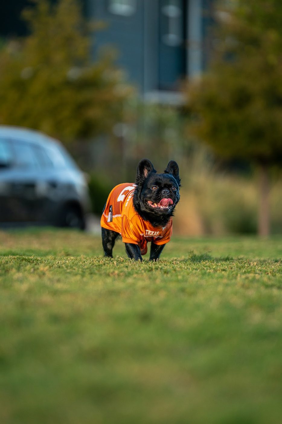 Ball time — photo by 512 Capitol Media